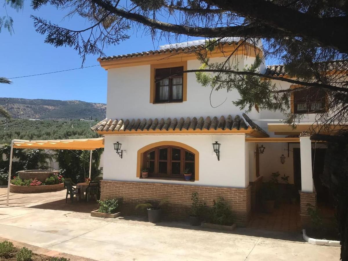 Paredejas Del Rey Priego de Córdoba Extérieur photo