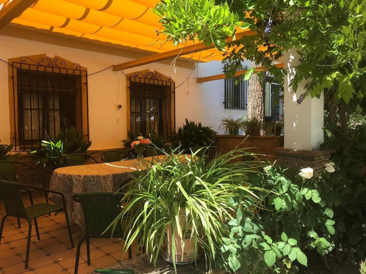 Paredejas Del Rey Priego de Córdoba Extérieur photo
